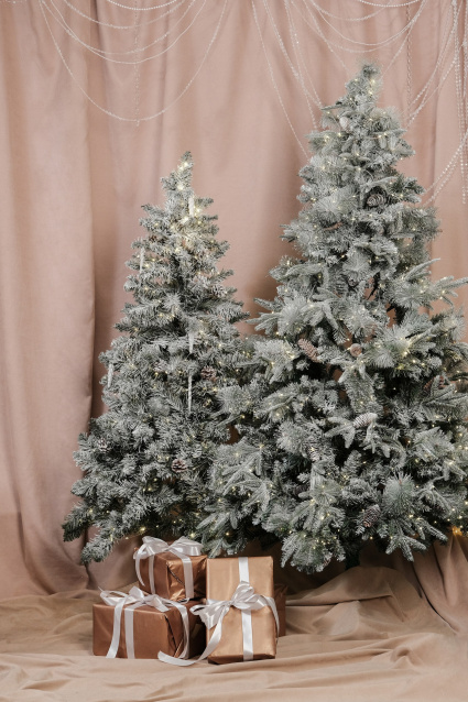 Профессиональная фотосессия в Омске— заказать по низкой цене в федеральной сети фотостудий Fashion Box – фото № 4