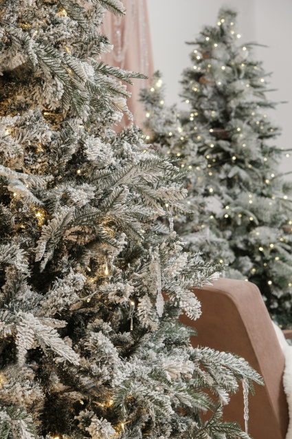 Профессиональная фотосессия в Омске— заказать по низкой цене в федеральной сети фотостудий Fashion Box – фото № 3